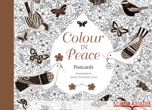 Colour in Peace Postcards: A Reflective Journey James Newman Gray 9780745980133