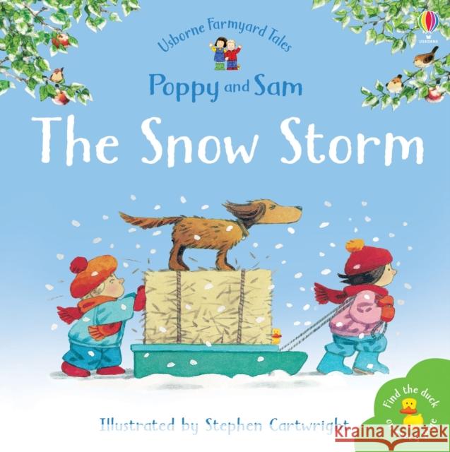 The Snow Storm Heather Amery 9780746063118