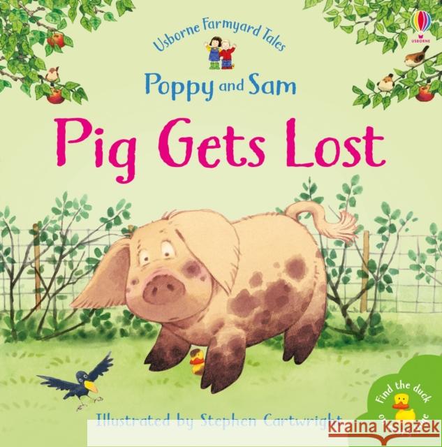 Pig Gets Lost Heather Amery 9780746063149