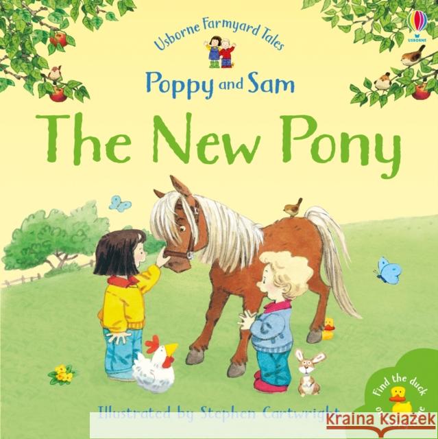 The New Pony Heather Amery 9780746063194