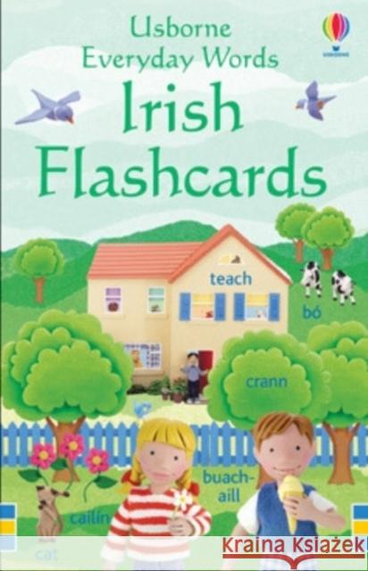 Everyday Words in Irish Flashcards Kirsteen Robson 9780746067932 USBORNE PUBLISHING LTD