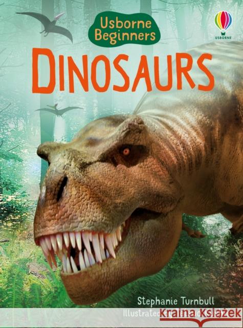 Dinosaurs   9780746074459 Usborne Publishing Ltd