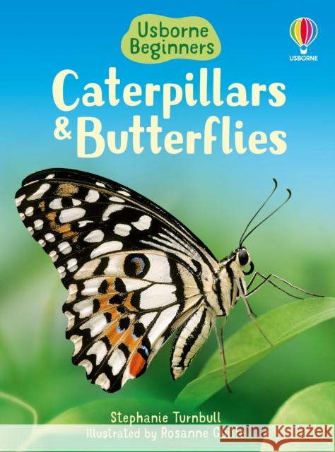 Caterpillars and Butterflies   9780746074473 Usborne Publishing Ltd