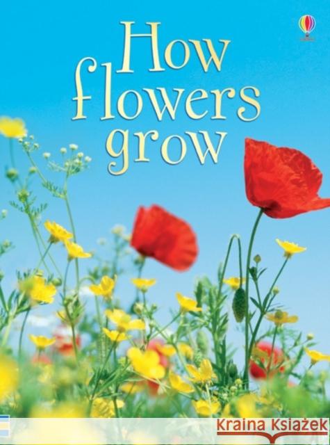 How Flowers Grow Emma Helbrough 9780746074503 0