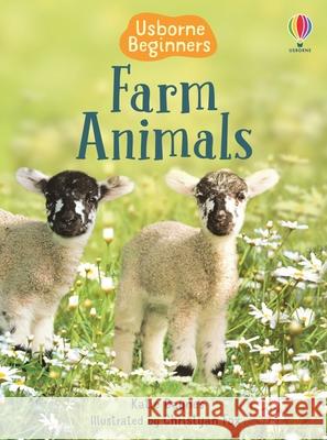 Farm Animals Katie Daynes 9780746074763 0