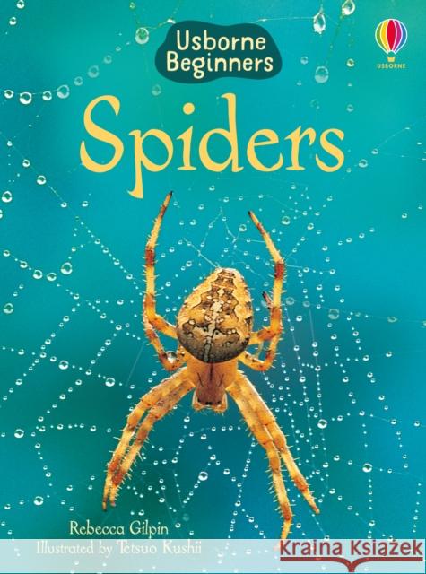 Spiders Rebecca Gilpin 9780746074794