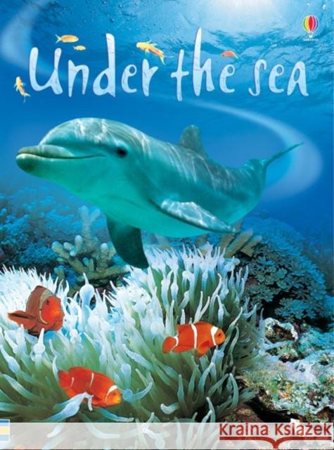 Under the Sea   9780746074879 Usborne Publishing Ltd