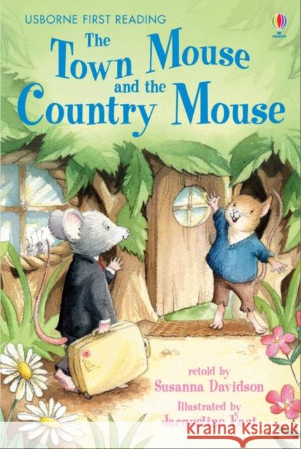 The Town Mouse and the Country Mouse Susanna Davidson 9780746078860