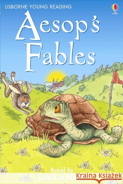 Aesop's Fables   9780746081037 0