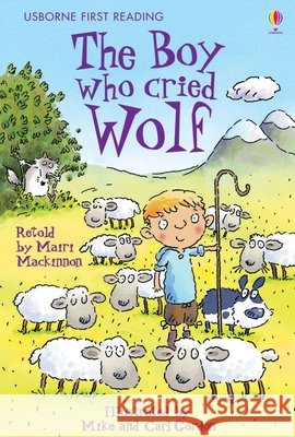 The Boy who cried Wolf Mairi Mackinnon 9780746085592 Usborne Publishing Ltd