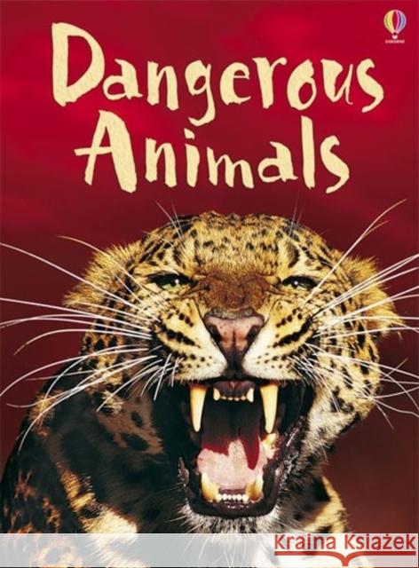 Dangerous Animals   9780746088630 Usborne Publishing Ltd