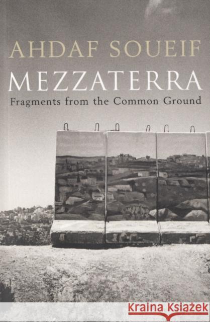 Mezzaterra: Fragments from the Common Ground Ahdaf Soueif 9780747577256