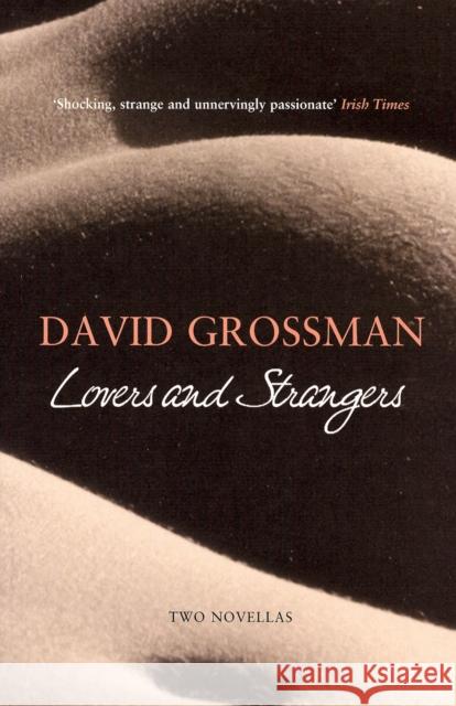 Lovers and Strangers: Two Novellas David Grossman, Jessica Cohen 9780747581352