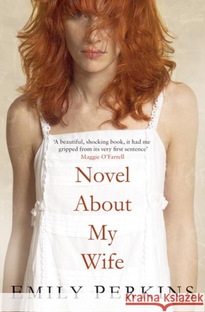 Novel About My Wife Emily Perkins 9780747596509 0