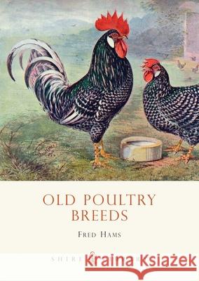 Old Poultry Breeds Fred Hams 9780747803966 Bloomsbury Publishing PLC