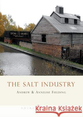 The Salt Industry Andrew Philip Fielding, Annelise Mary Fielding 9780747806486