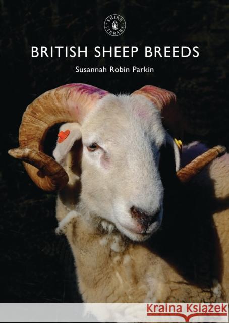 British Sheep Breeds Susannah Parkin 9780747814481 Bloomsbury Publishing PLC