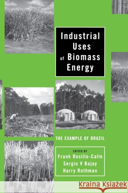 Industrial Uses of Biomass Energy: The Example of Brazil Rosillo-Calle, Frank 9780748408849