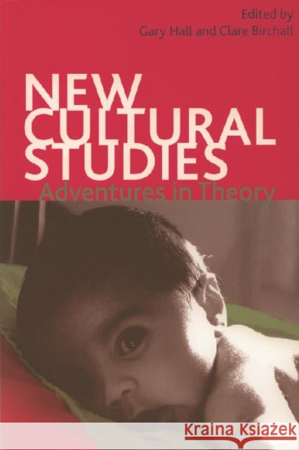 New Cultural Studies: Adventures in Theory Gary Hall, Clare Birchall 9780748622092
