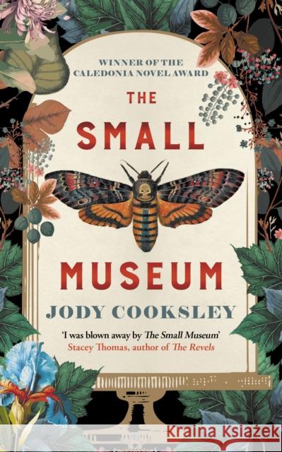 The Small Museum: A chilling historical mystery set against the Gothic backdrop of Victorian London Jody Cooksley 9780749031527