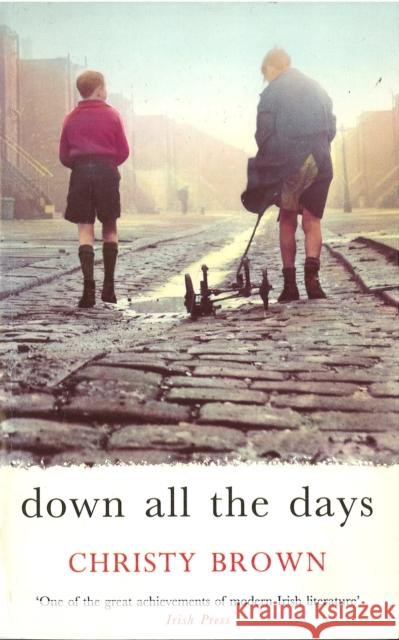 Down All The Days Christy Brown 9780749391799 VINTAGE