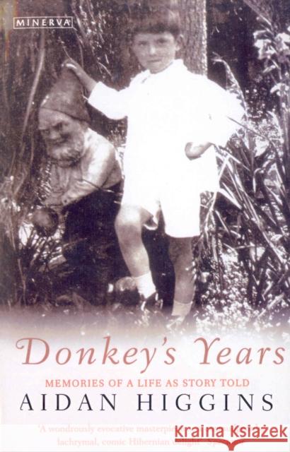 Donkeys Years Aidan Higgins 9780749396947