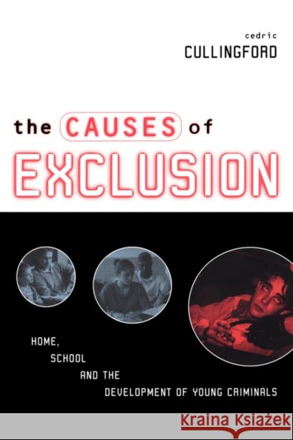 The Causes of Exclusion: Home, School and the Development of Young Criminals Cullingford, Cedric 9780749430399