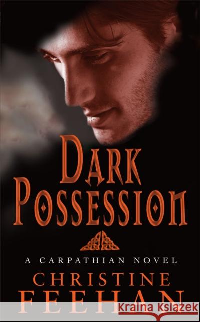 Dark Possession: Number 18 in series Christine Feehan 9780749908676 Little, Brown Book Group