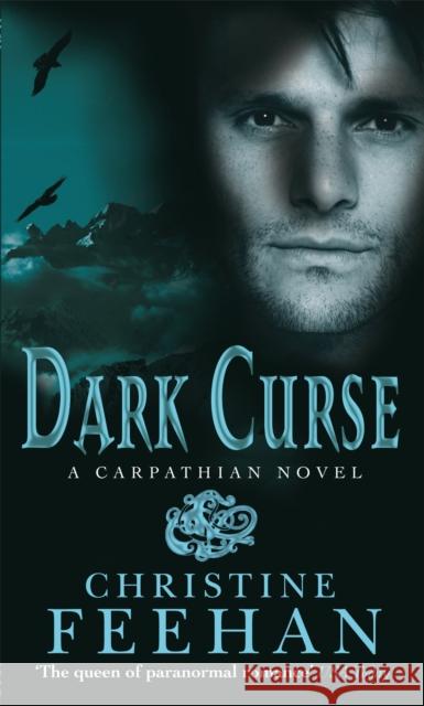 Dark Curse: Number 19 in series Christine Feehan 9780749909536 Little, Brown Book Group