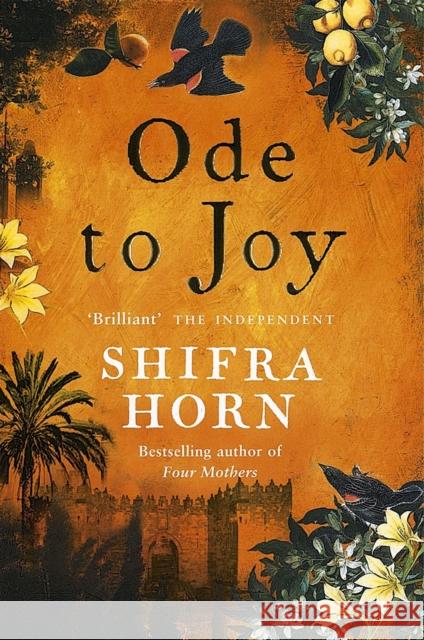 Ode To Joy Shifra Horn 9780749936358