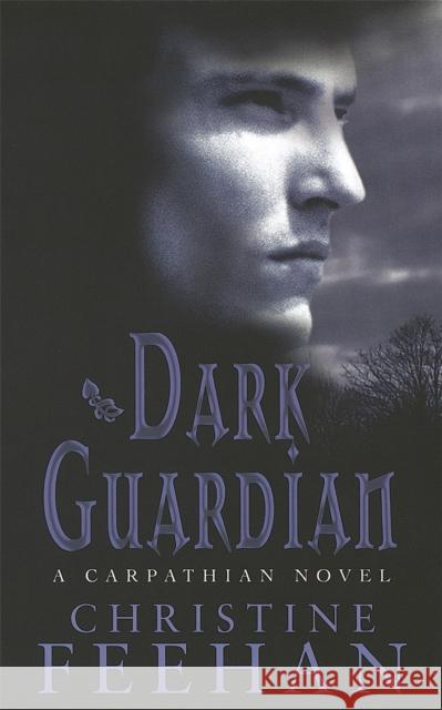 Dark Guardian: Number 9 in series Christine Feehan 9780749938116 Little, Brown Book Group