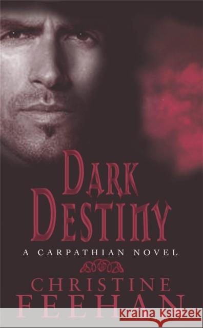 Dark Destiny: Number 13 in series Christine Feehan 9780749938529 0