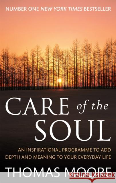 Care Of The Soul: An inspirational programme to add depth and meaning to your everyday life Thomas Moore 9780749941208