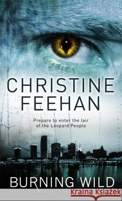 Burning Wild: Number 3 in series Christine Feehan 9780749941598 Little, Brown Book Group