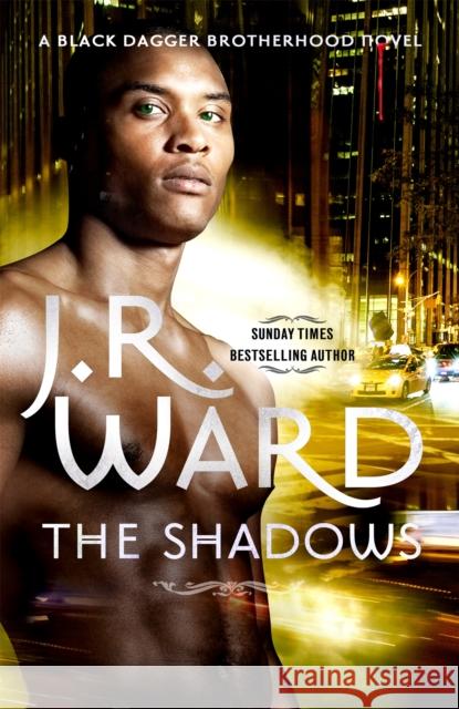 The Shadows: Number 13 in series Ward, J. R. 9780749959630 Little, Brown Book Group