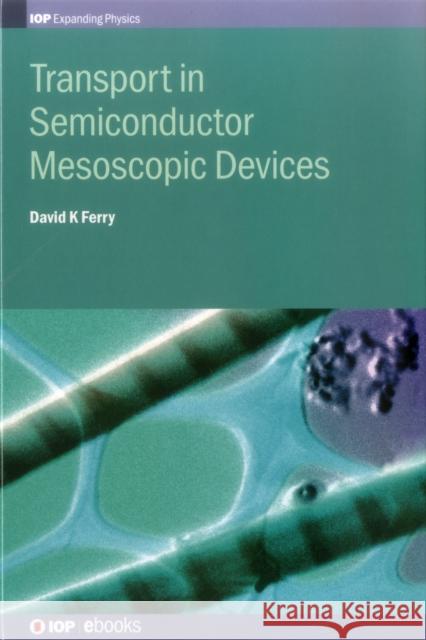 Transport in Semiconductor Mesoscopic David Ferry   9780750311021
