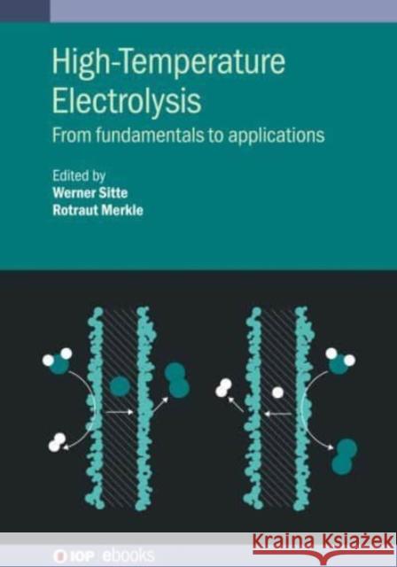 High Temperature Electrolysis  9780750339490 Institute of Physics Publishing