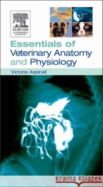 Essentials of Veterinary Anatomy & Physiology   9780750688024 0