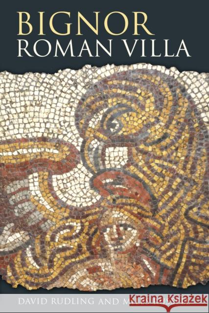 Bignor Roman Villa Miles Russell 9780750961554 The History Press