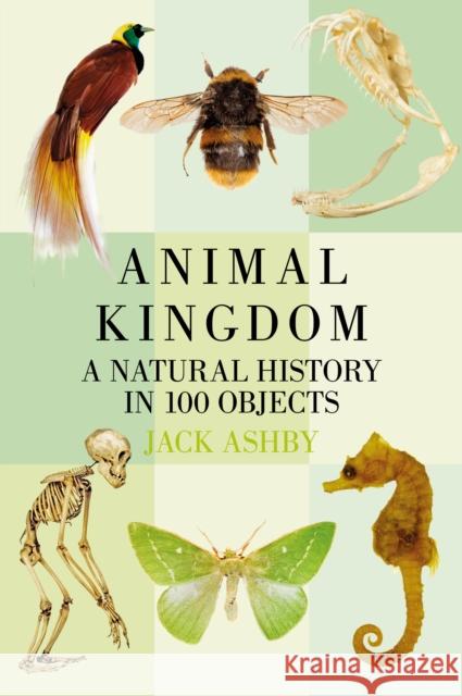 Animal Kingdom: A Natural History in 100 Objects Jack Ashby 9780750981521 The History Press Ltd