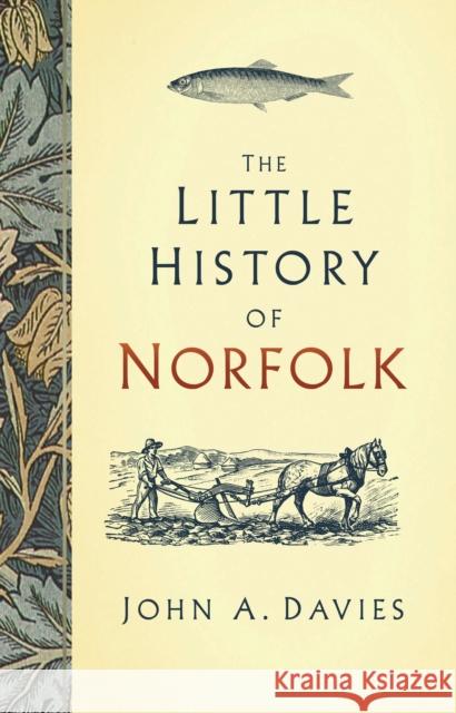 The Little History of Norfolk John A. Davies 9780750985765 The History Press Ltd