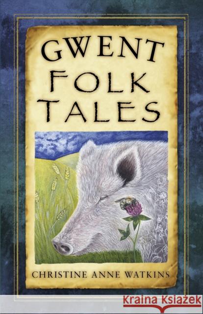 Gwent Folk Tales Christine Anne Watkins   9780750986793