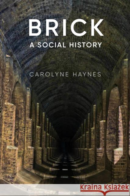 Brick: A Social History Carolyne Haynes 9780750991933