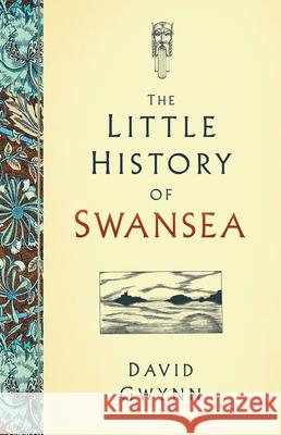 The Little History of Swansea David Gwynn   9780750993074 