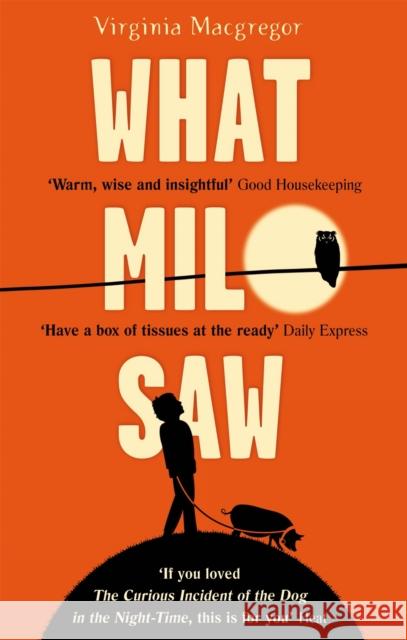 What Milo Saw: He sees the world in a very special way . . . Virginia Macgregor 9780751554274