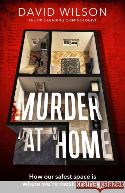 Murder at Home: how our safest space is where we're most in danger David Wilson 9780751584974