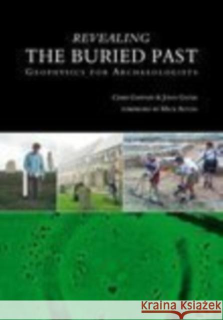 Revealing the Buried Past: Geophysics for Archaeologists Gater, John 9780752425566