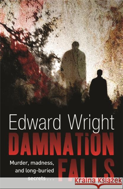 Damnation Falls Edward Wright 9780752881843