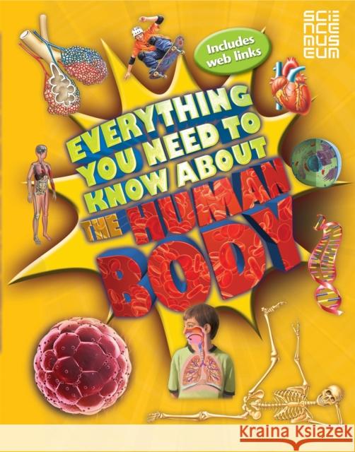 Everything You Need To Know About The Human Body Patricia Macnair 9780753437322 Pan Macmillan