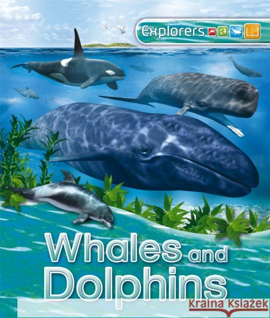 Explorers: Whales and Dolphins Anita Ganeri 9780753441169